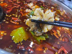 -重庆何乌鱼(南湖逸家店)