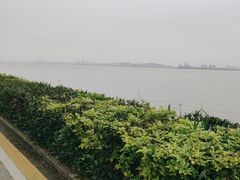 -海鸥岛