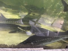 -楚鱼王·河鲜·湖北菜(华农店)