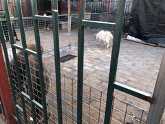 -有喜胶东小馆(超极合生汇太申祥和店)