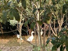 -武汉世外桃源农庄