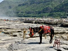 -陕西黄河壶口瀑布旅游区