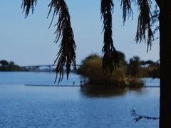 -贡湖湾湿地公园