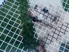 -世博家园十街坊