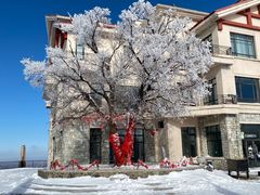 -亚布力新体委滑雪场