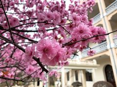 -南京中国近代史遗址博物馆(南京总统府)