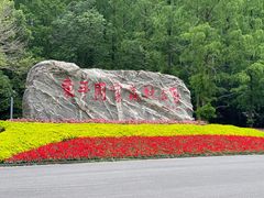 -东平国家森林公园