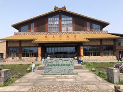 -宁波杭州湾国家湿地公园