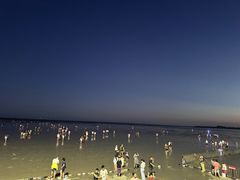 -碧海金沙