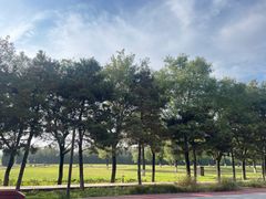 -汉长安城未央宫国家考古遗址公园