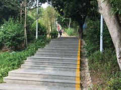 -仙岳公园