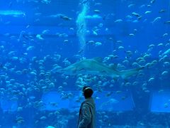 -南昌融创海世界