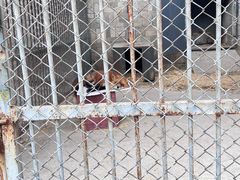 -哈尔滨北方森林动物园