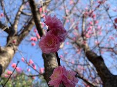 -楠柏弯休闲山庄(梨花溪店)
