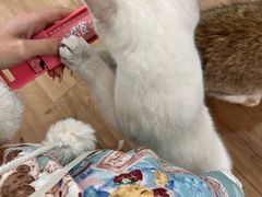 -观音桥步行街