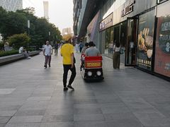 -远洋未来汇