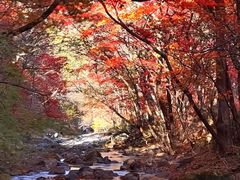 -本溪老边沟风景区