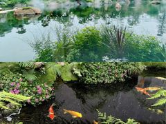 -罗红摄影艺术馆