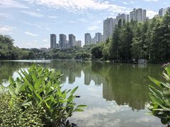 -重庆彩云湖湿地公园