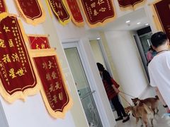 -谐和贝康宠物医院24小时·宠保定点(急重症转诊中心)