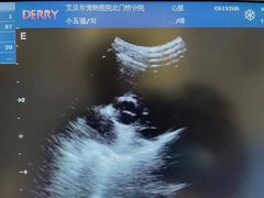 -艾贝尔宠物医院 ·中兽医·宠保定点(北门桥店)