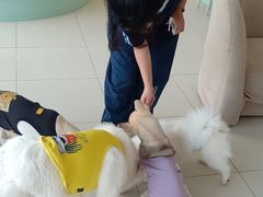 -怪兽屋·羊驼·猫咖·狗咖(俊华广场店)