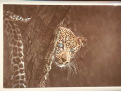 -罗红摄影艺术馆