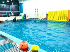 -爱乐游亲子游泳俱乐部