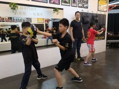 -温鉴良实用咏春拳