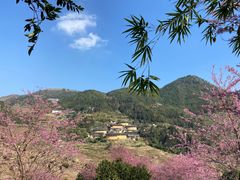 -南靖田螺坑土楼群景区