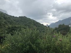 -秦岭风景区