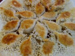 煎芹菜饺子-好妈王饺子(滂江街店)