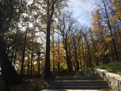 -阳台山自然风景区