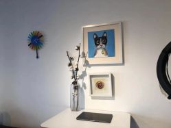 -净漪造型 PURE RIPPLE