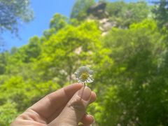 -驼梁风景区