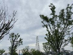 -金鸡湖景区