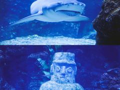 -南昌海洋公园