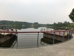 -东郊湿地公园