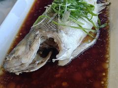 -云中小雅