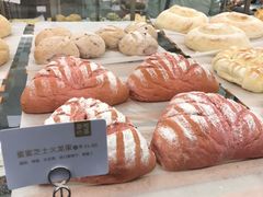 蜜蜜芝士火龙果-奈雪的茶(市百一店)