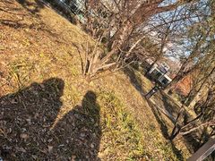 -元大都城垣遗址公园