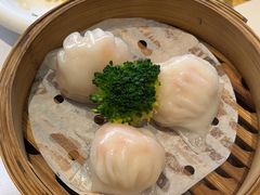 -新雅粤菜馆(南京东路店)