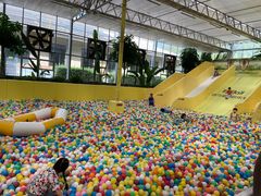 -南宫五洲植物乐园