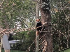 -杭州动物园