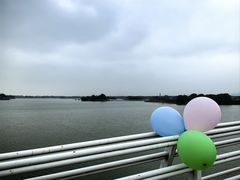 -贡湖湾湿地公园