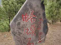 -磬锤峰森林公园