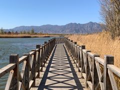 -野鸭湖国家湿地公园