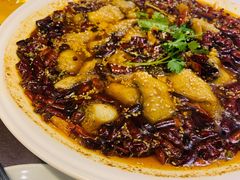 沸腾鱼片-有璟阁港式餐厅(国贸商城店)