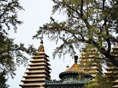 -北京石刻艺术博物馆(五塔寺)