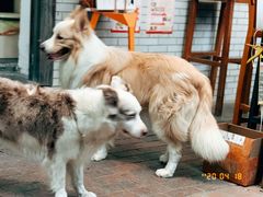 -豆舞咖啡(民乐路店)